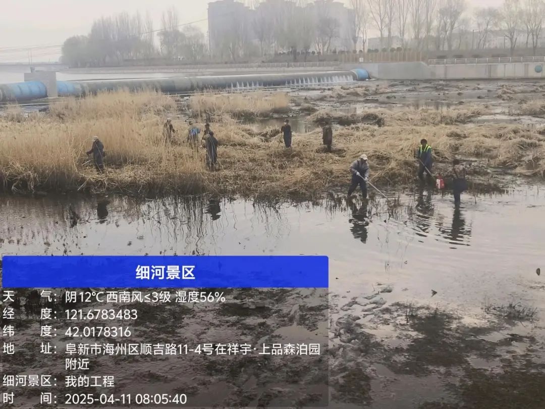 市住建局发力细河环境治理！11.3公里河道如何变身生态廊道？  第5张