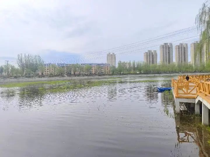 市住建局发力细河环境治理！11.3公里河道如何变身生态廊道？  第6张