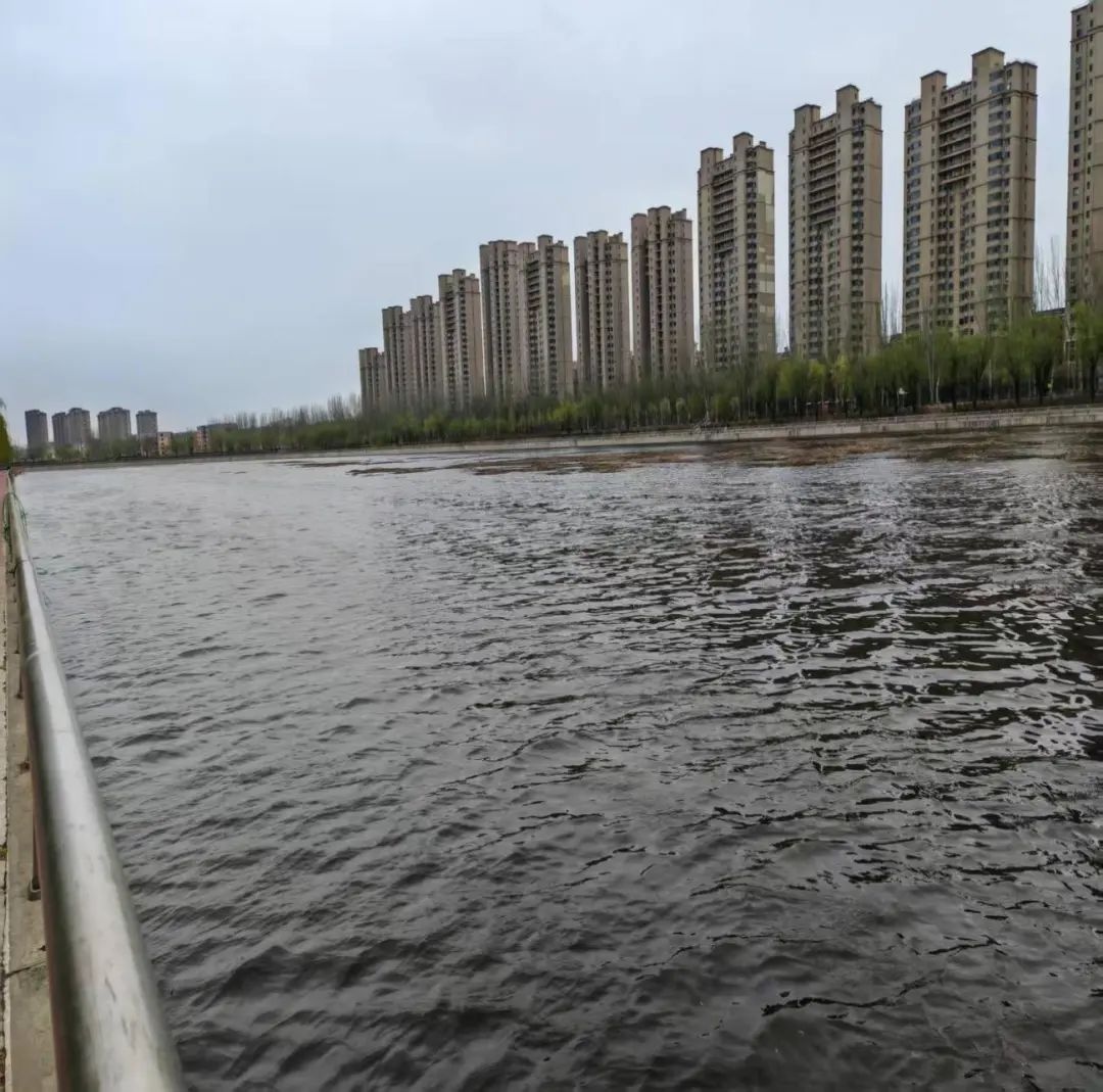 市住建局发力细河环境治理！11.3公里河道如何变身生态廊道？  第7张