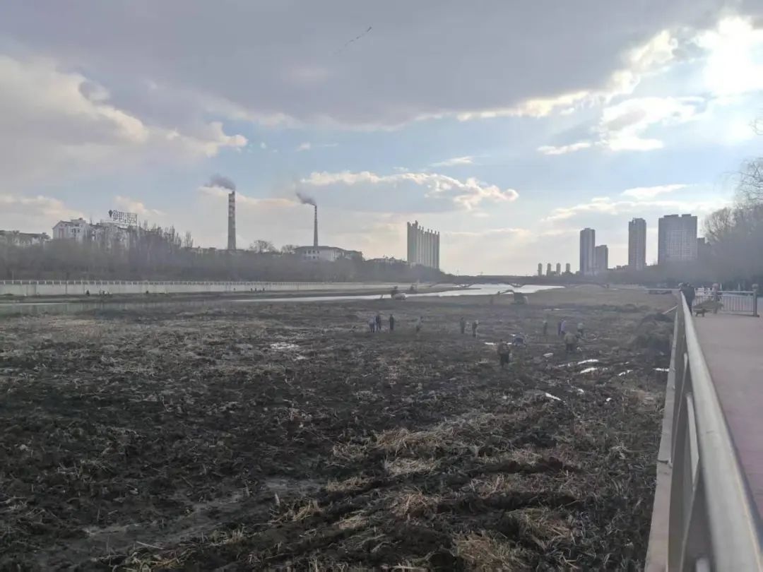 市住建局发力细河环境治理！11.3公里河道如何变身生态廊道？  第9张