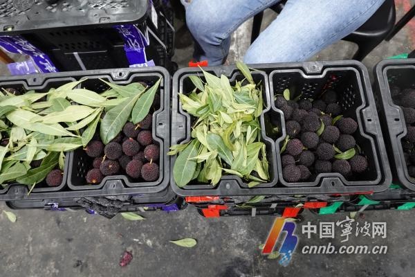 气温攀升杨梅旺销！日到货量 3 万箱至 4 万箱，销售额竟同比增长 260%？  第3张