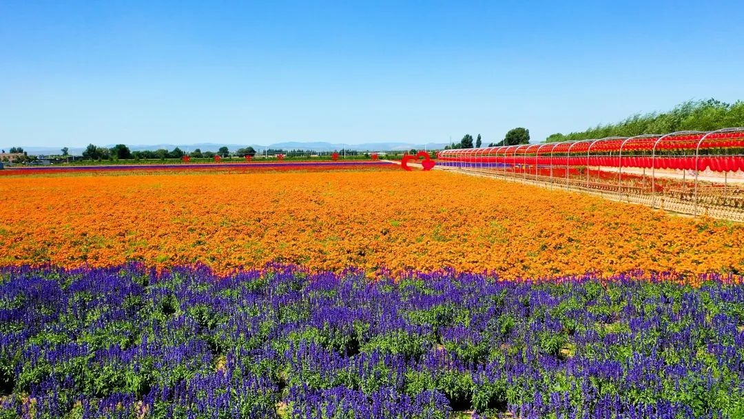5月23日北京传来喜讯！北票市、建平县为何能光荣上榜全国文明城市？  第8张