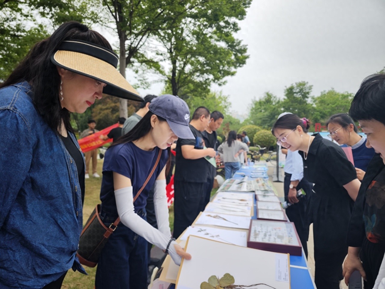 5月22日国际生物多样性日！临沂这场活动藏着啥秘密？