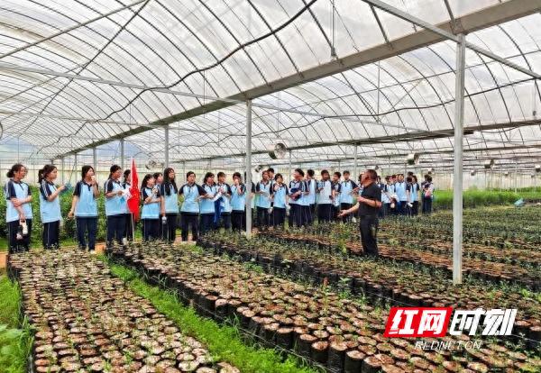 5月22日涟源市科技活动周启动！200余人都体验了啥？  第1张