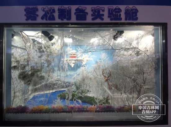 5月下旬20℃竟能现雾凇？高博会上的这个秘密你知道吗  第2张