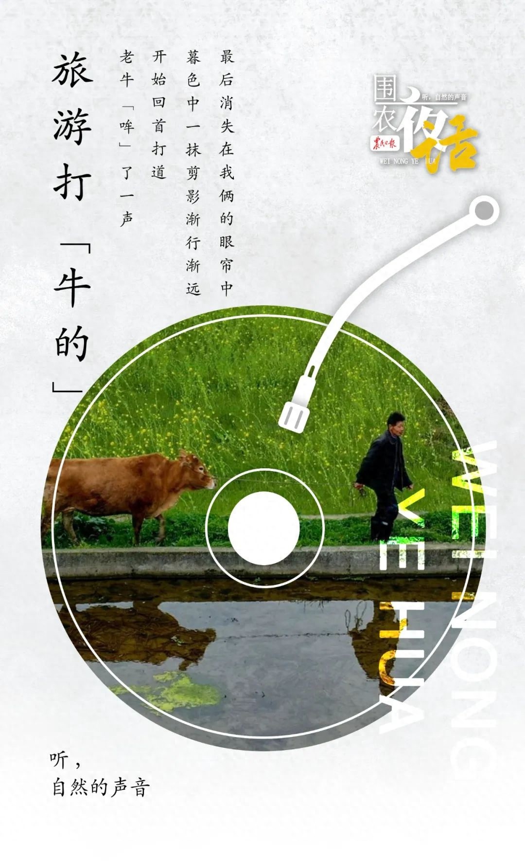 插队故地重游遇难题？坐牛的竟成解决之道  第1张
