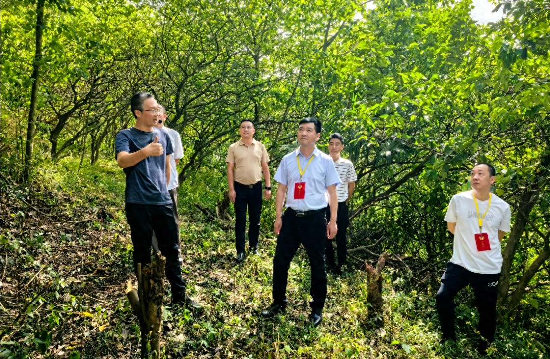 5月22日武胜县政协为何组织视察文化遗产保护等工作？  第1张