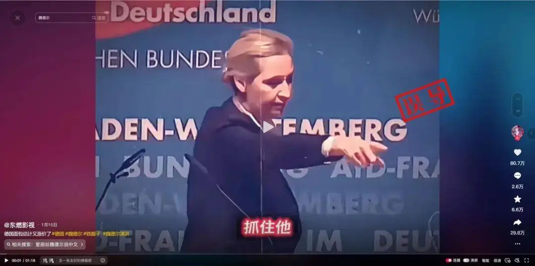 德国选择党领袖为何突然发怒？揭秘魏德尔演讲现场的真实内幕  第2张