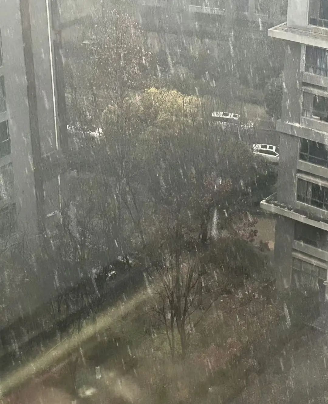 西安雨雪来袭！上班路上的你还好吗？全省大部将迎大到暴雪  第2张