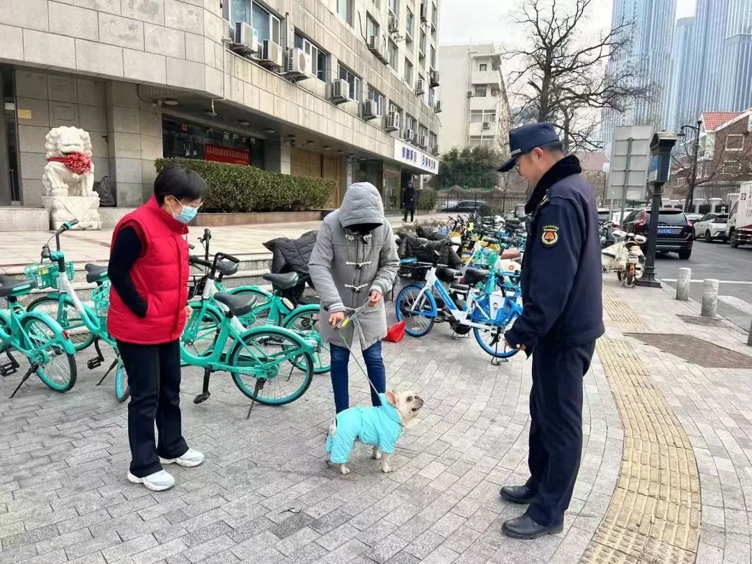 春节将至，和平区如何打造文明养犬新环境？五大道街的居民们准备好了吗  第5张