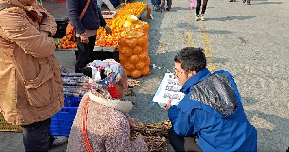 断肠草误食事件频发！阳山县如何严防死守，确保食品安全？  第1张
