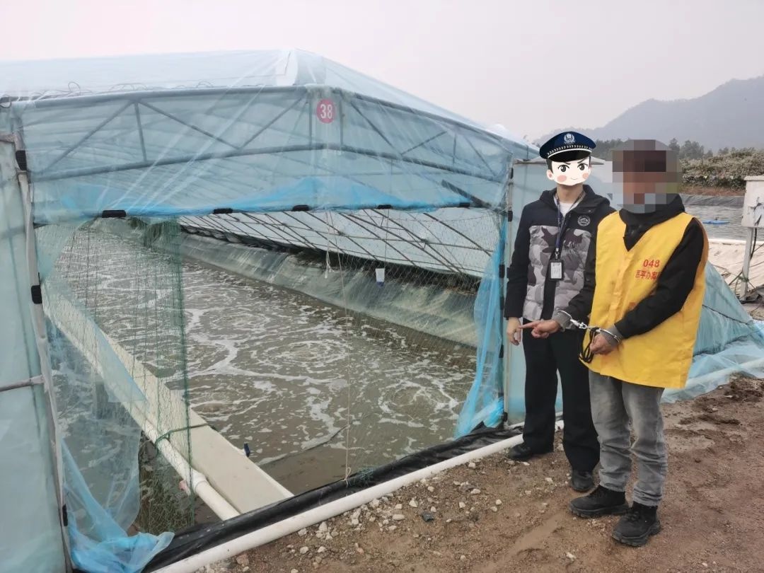 春节前夕，谁在对虾塘下黑手？恩平公安破获特大对虾盗窃案  第2张