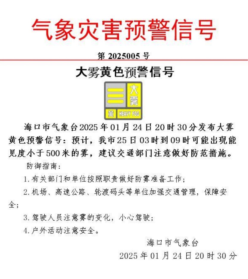 琼州海峡大雾来袭！能见度低至500米，交通航运如何应对？  第2张