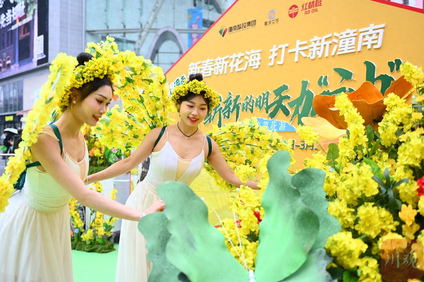 2025醉美菜花游即将开幕，四大惊喜等你来探索