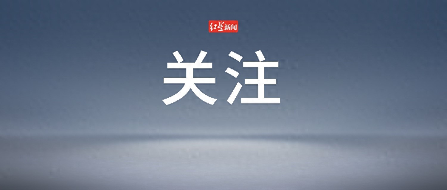窃贼用偷来的银行卡买彩票竟中50万欧元！失主为何还想分享奖金？