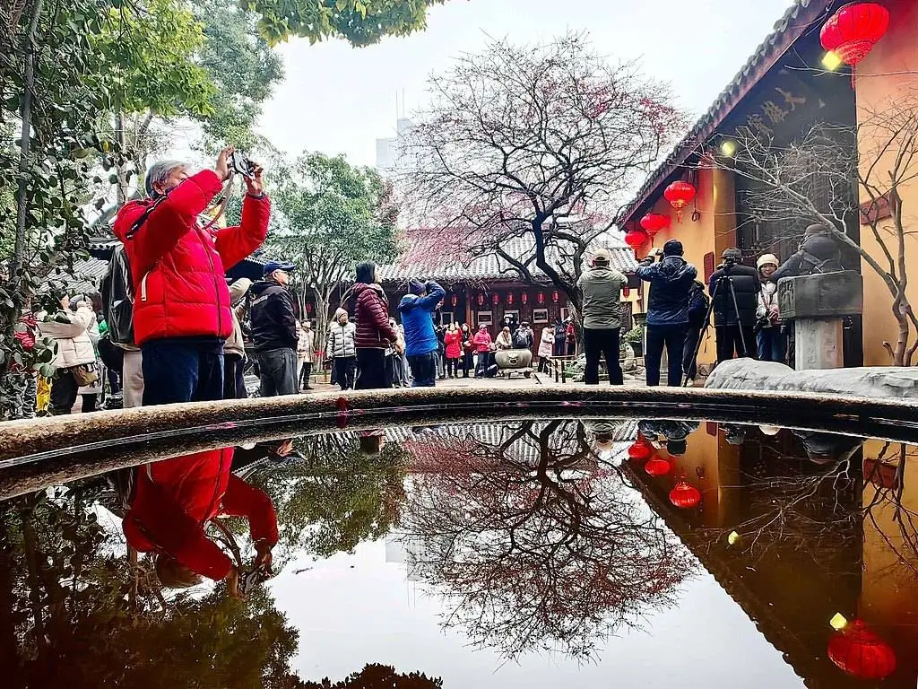 春姑娘充了会员，一夜美颜十级！你准备好迎接这场粉色花海盛宴了吗？  第7张