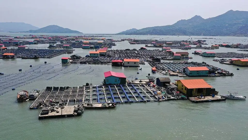 2024年中国海洋经济突破10万亿！你知道海洋产业占比多少吗？  第1张