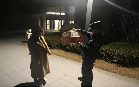 西安一市民家中惊现濒危红嘴山鸦，它为何受伤？警方紧急救助