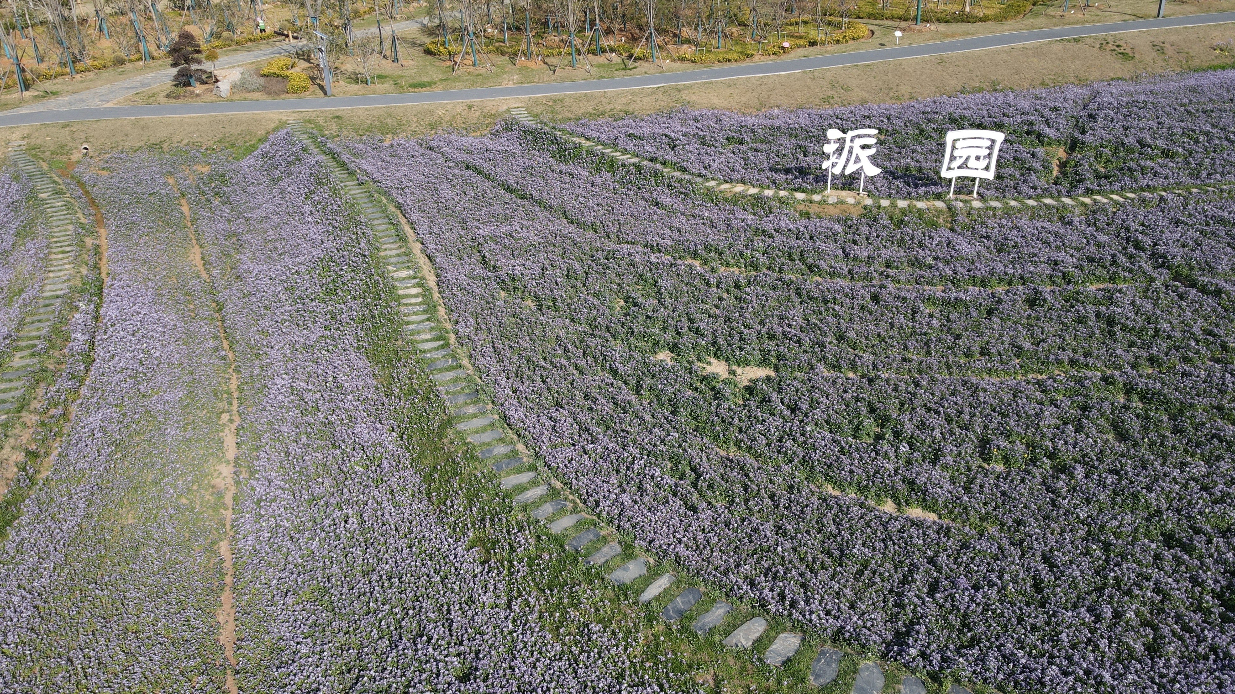 派园即将全面开放！你准备好探索全省最大的城市田园综合体了吗？  第2张