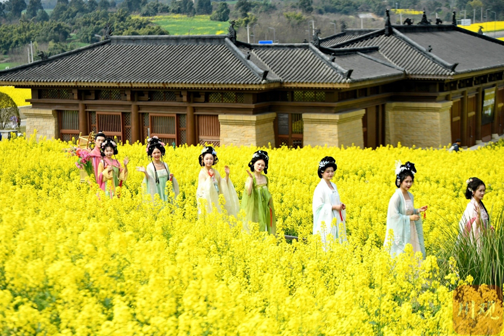 2025年双流瞿上田园花朝节，汉服爱好者共赴春日盛宴，你准备好了吗？