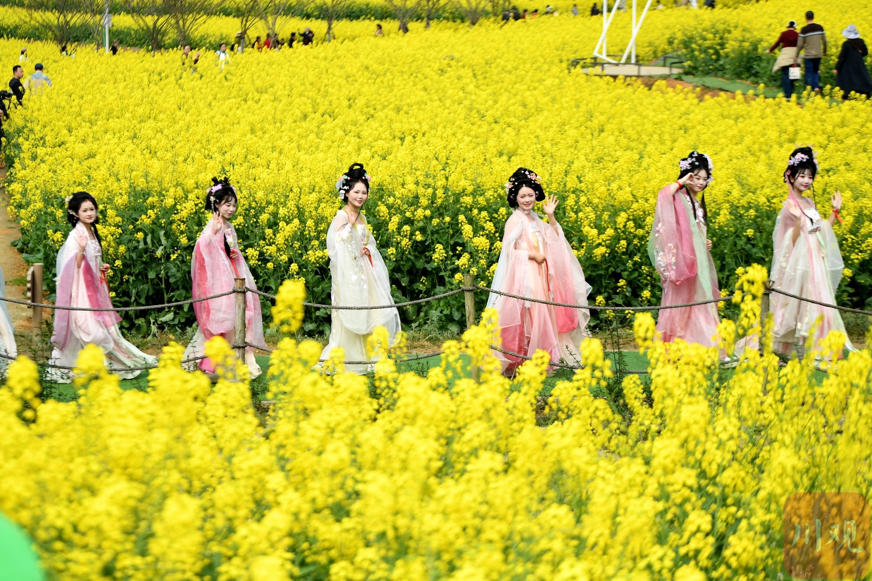 2025年双流瞿上田园花朝节，汉服爱好者共赴春日盛宴，你准备好了吗？  第2张