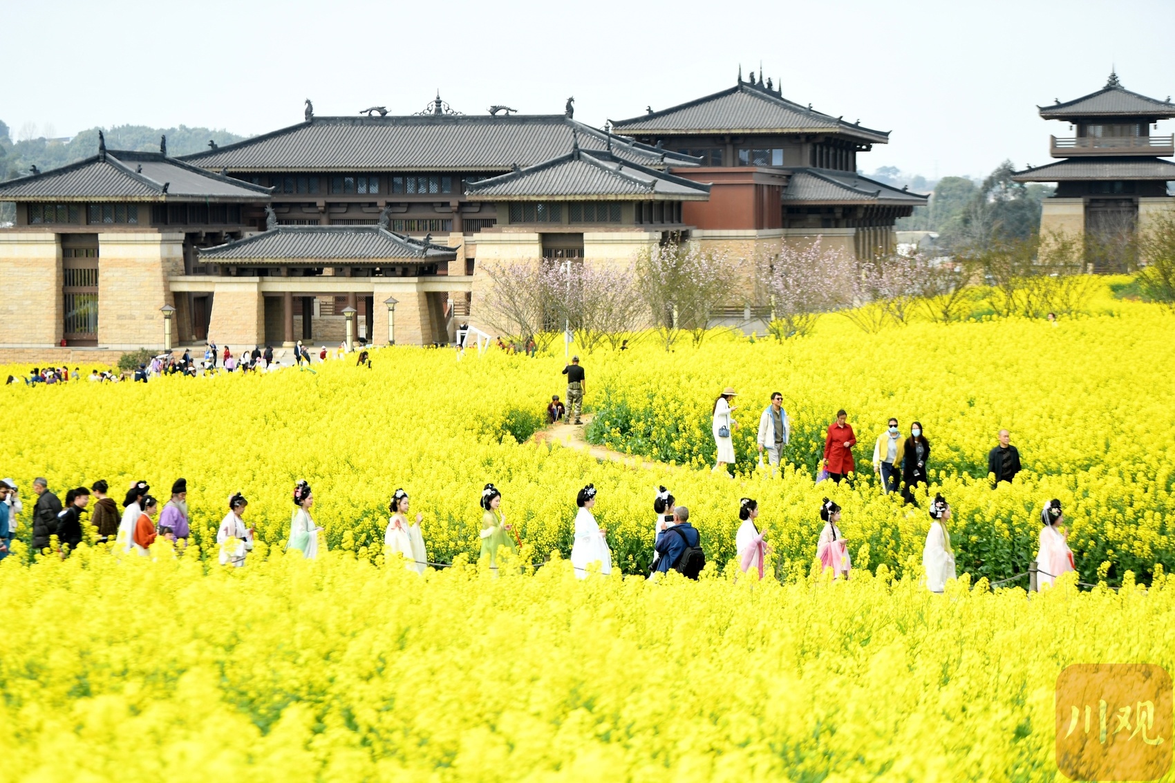 2025年双流瞿上田园花朝节，汉服爱好者共赴春日盛宴，你准备好了吗？  第3张