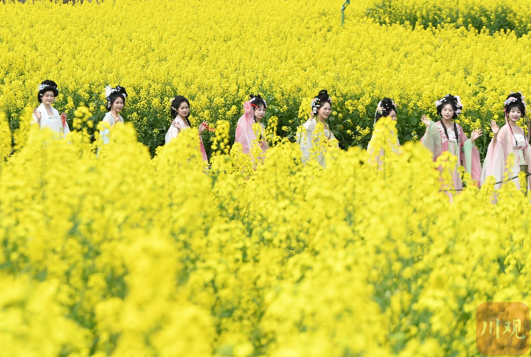 2025年双流瞿上田园花朝节，汉服爱好者共赴春日盛宴，你准备好了吗？  第6张