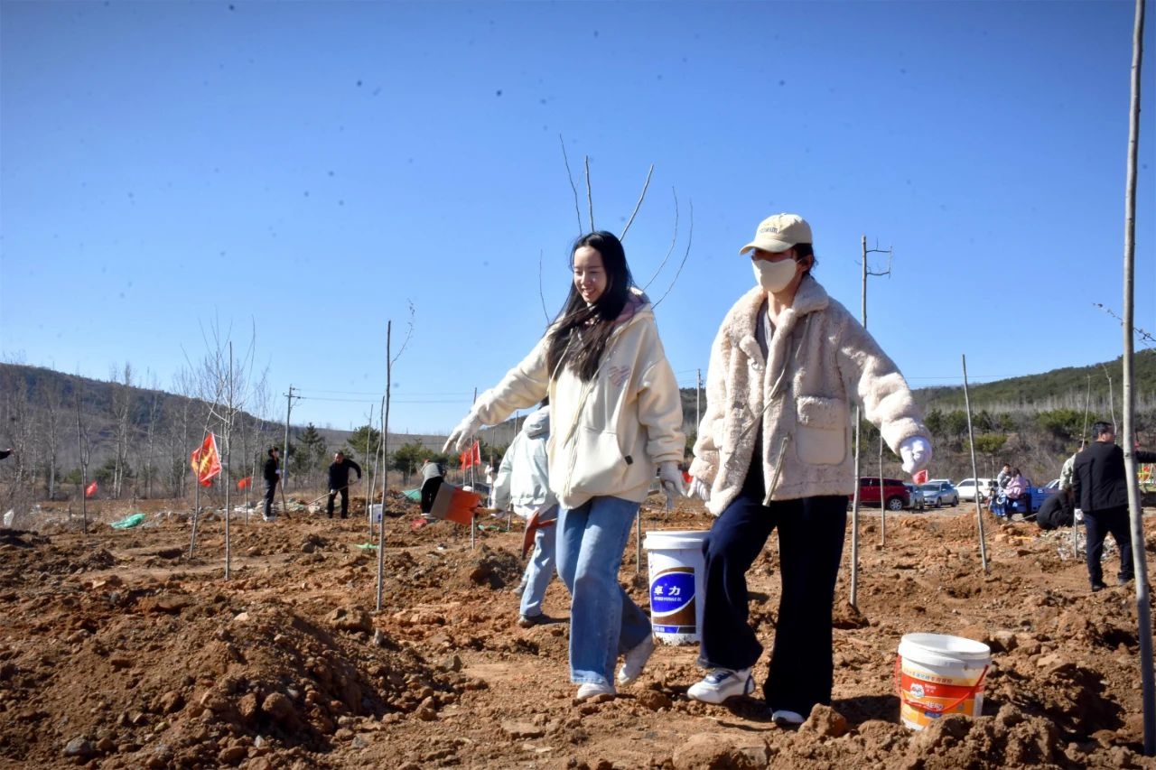 南城街街道百人植树行动：如何为乡村增添勃勃生机？  第5张