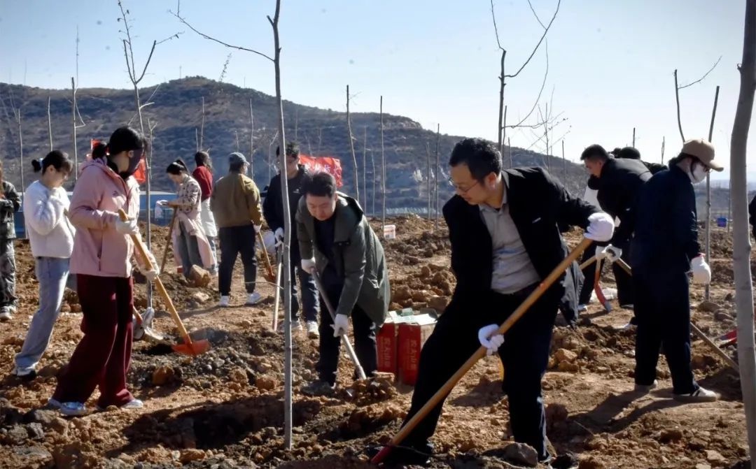 南城街街道百人植树行动：如何为乡村增添勃勃生机？  第6张