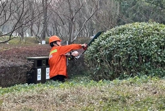 江北家门口的绿野仙踪！你见过如此精心打造的春日盛景吗？  第2张