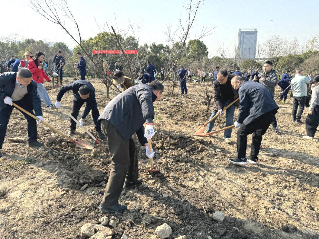 硚口区600余人共植170株树苗，大武汉新绿的背后有何故事？  第1张