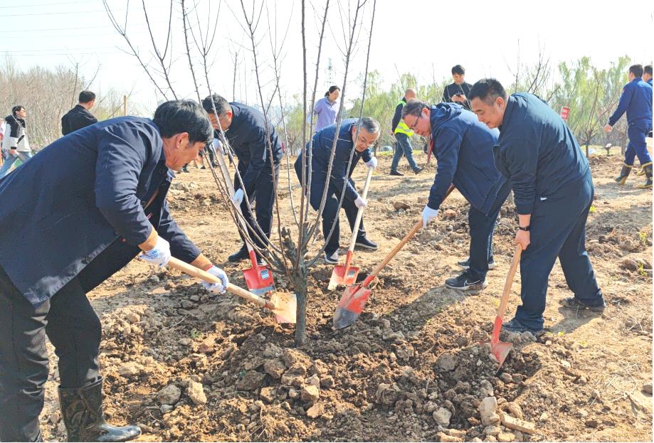 硚口区600余人共植170株树苗，大武汉新绿的背后有何故事？  第3张