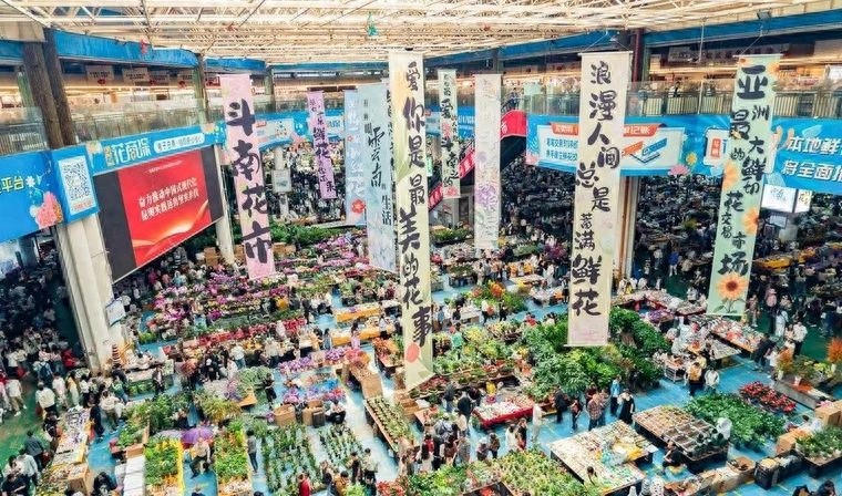 谁曾想到，这片1.43平方公里的土地竟成了亚洲花都的奇迹？