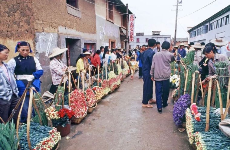谁曾想到，这片1.43平方公里的土地竟成了亚洲花都的奇迹？  第2张