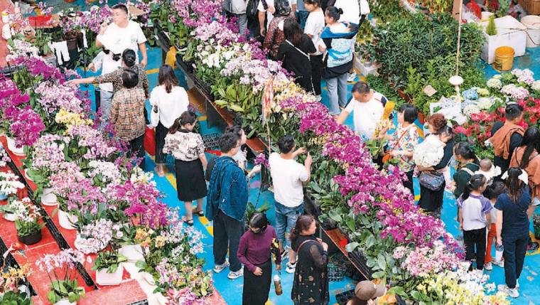 谁曾想到，这片1.43平方公里的土地竟成了亚洲花都的奇迹？  第5张
