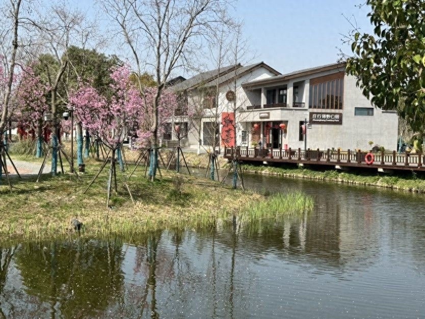 浦秀西闸路河清澈见底，竟是这些水草的功劳！你知道其中的奥秘吗？  第1张