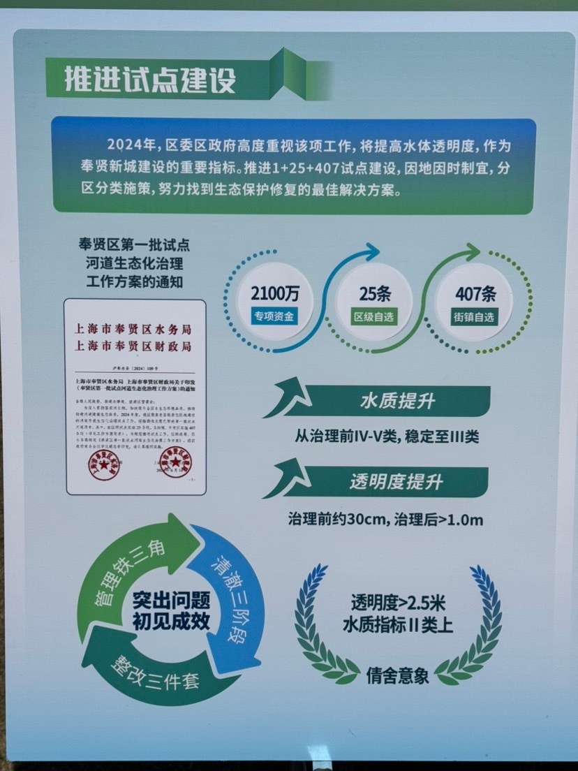 浦秀西闸路河清澈见底，竟是这些水草的功劳！你知道其中的奥秘吗？  第3张