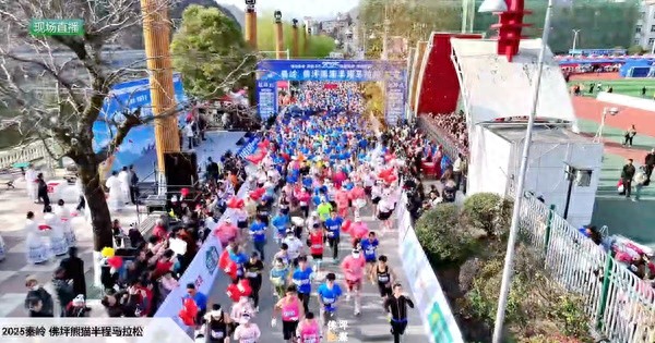 2025佛坪半程马拉松：2500名选手激情开跑，背后竟有如此周到的服务