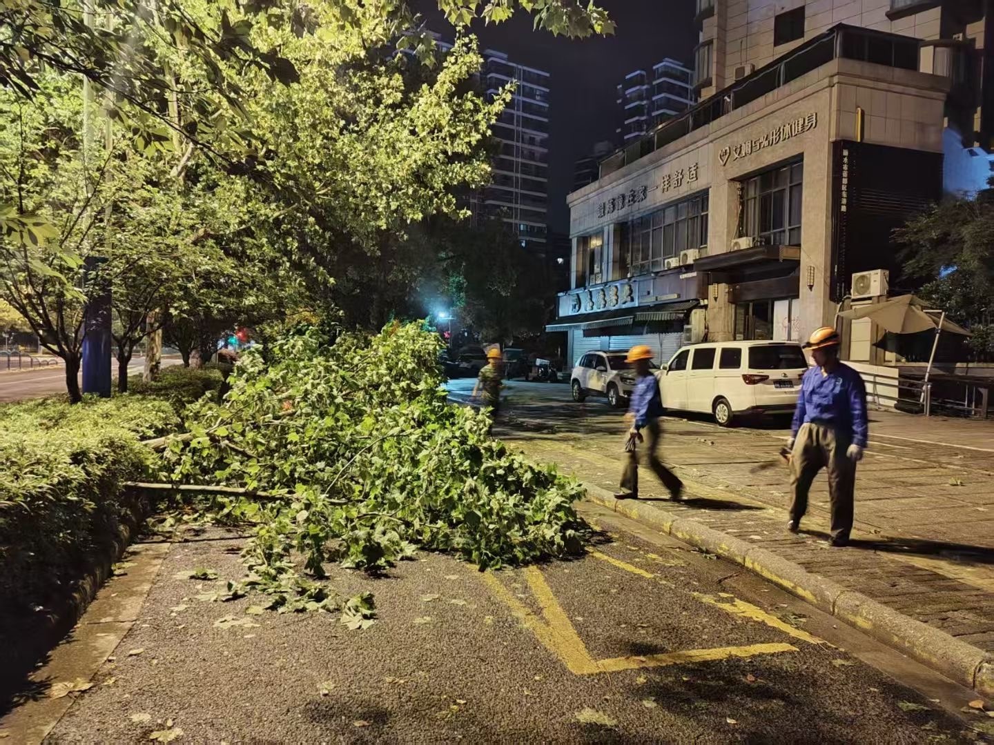 狂风暴雨夜袭市区！74处倒伏树木如何一夜之间被扶正？  第2张