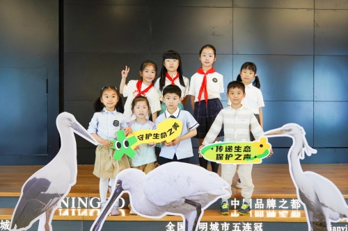 神话之鸟现身宁波！你知道这座城市的国宝级鸟明星是谁吗？  第6张