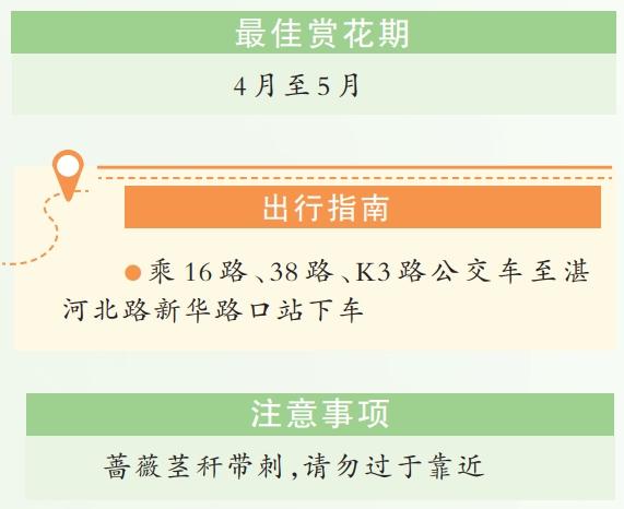 湛河北路变身童话世界！3.2公里网红打卡地即将开放，你准备好了吗？  第7张