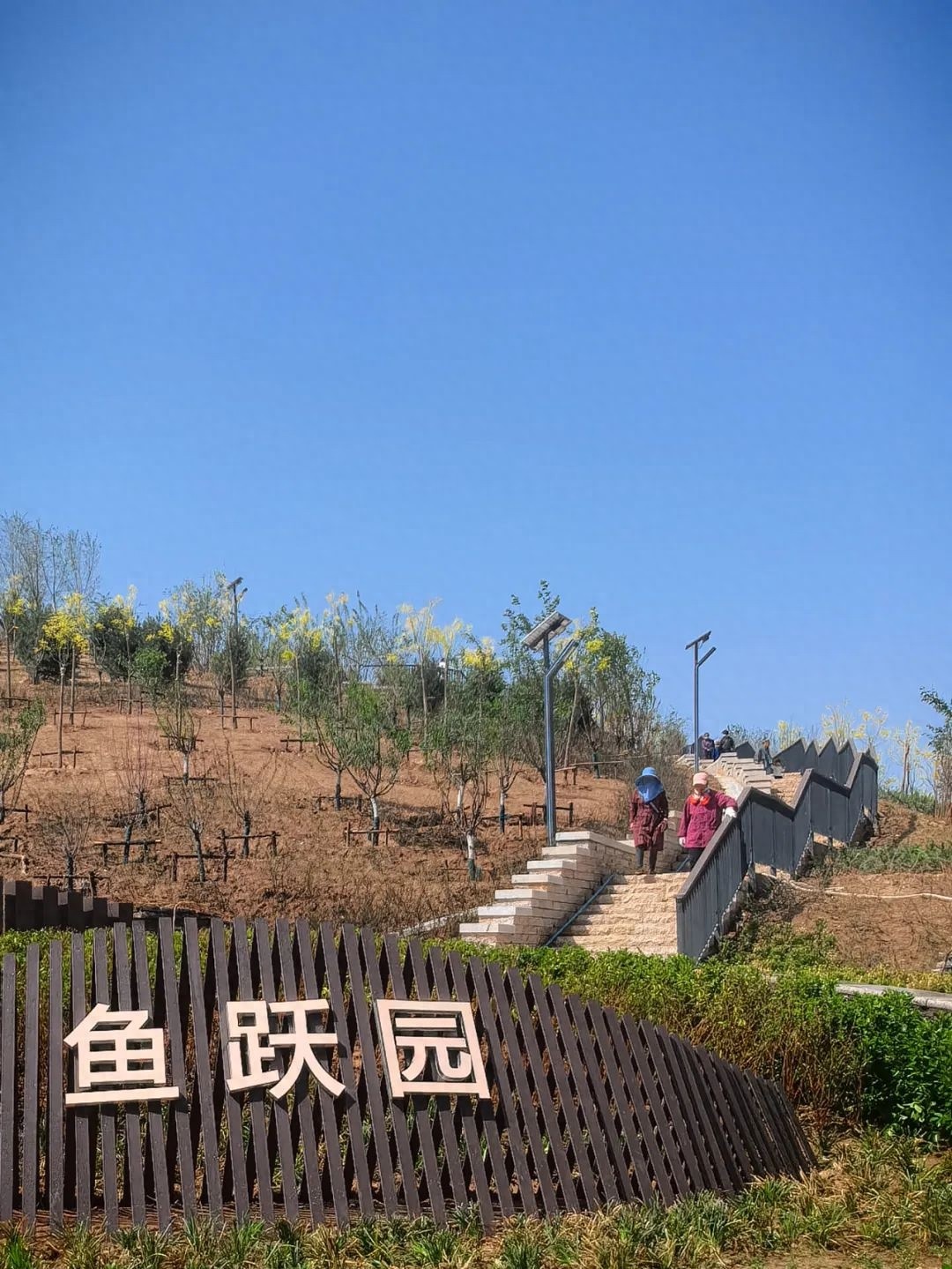 昔日渣土山竟变身绝美口袋公园！五一正式开放，你准备好打卡了吗？