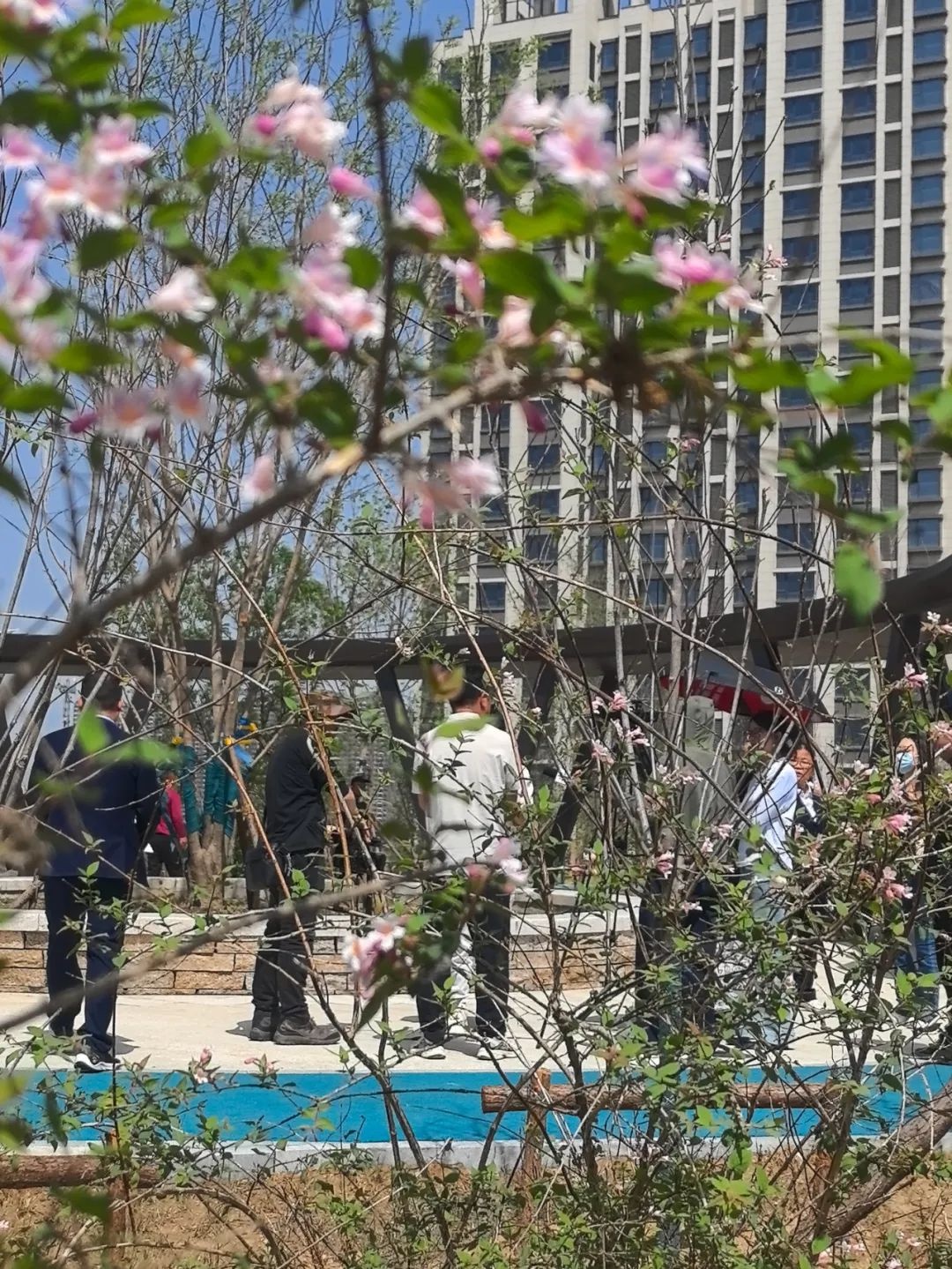 昔日渣土山竟变身绝美口袋公园！五一正式开放，你准备好打卡了吗？  第4张