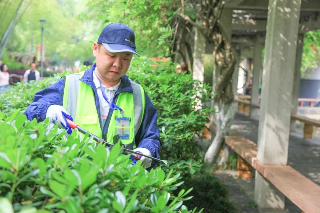 21名园林高手同台竞技，谁将问鼎修剪艺术之巅？  第3张