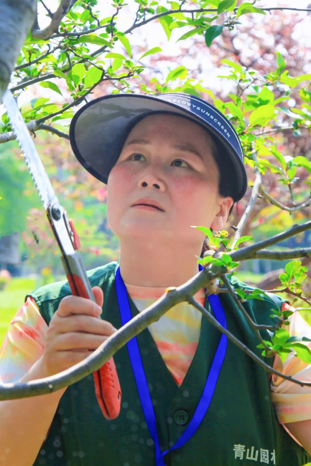 21名园林高手同台竞技，谁将问鼎修剪艺术之巅？  第5张