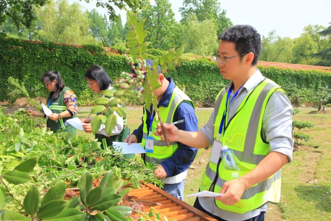 21名园林高手同台竞技，谁将问鼎修剪艺术之巅？  第7张