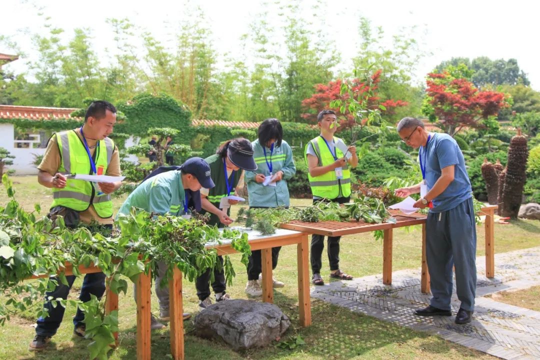 21名园林高手同台竞技，谁将问鼎修剪艺术之巅？  第8张
