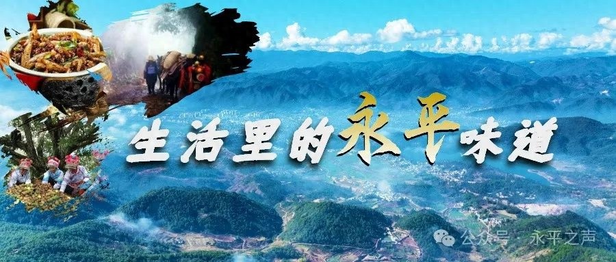 深山巡护竟遇迷路老人！管护员暖心救助背后藏着怎样的感人故事？