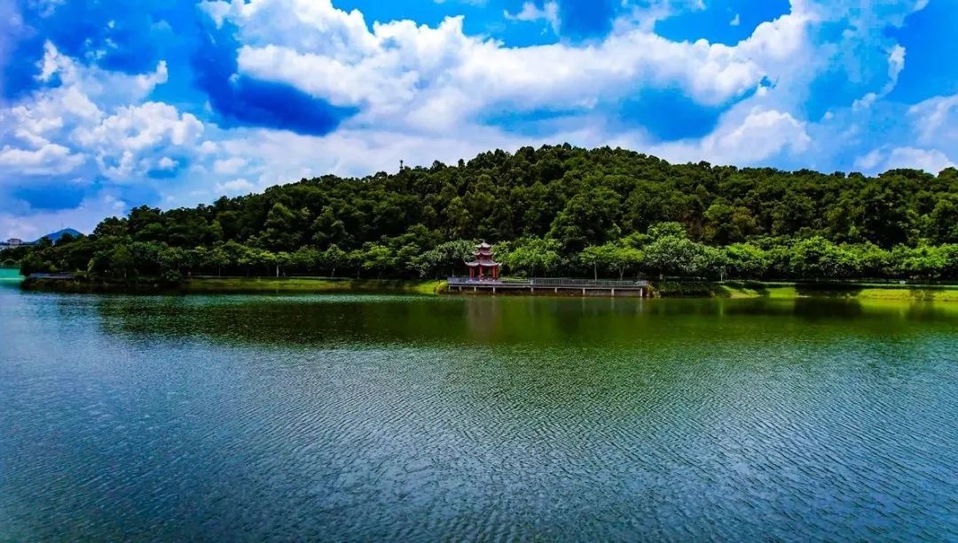 龙岗区百千万工程如何实现三年初见成效？五大行动助力高质量发展  第4张