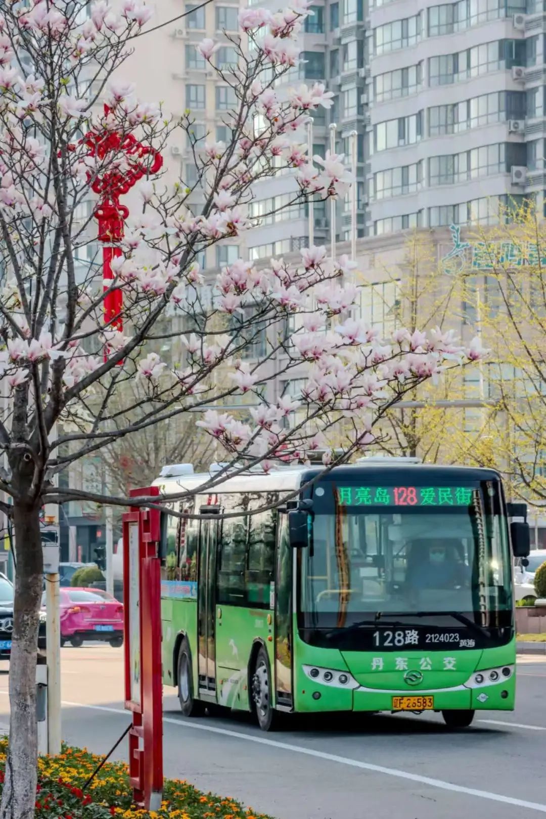 五一畅游丹东！夜景观光班车开通，4条线路带你玩转不夜城  第2张